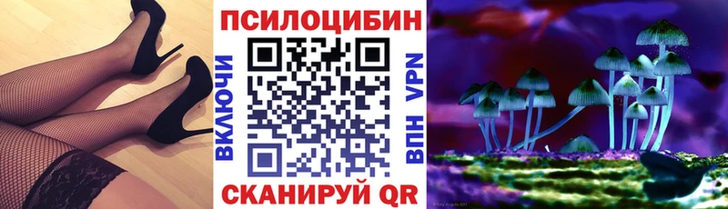 Купить закладки  Воронеж  Галлюциногенные грибы ЛСД 